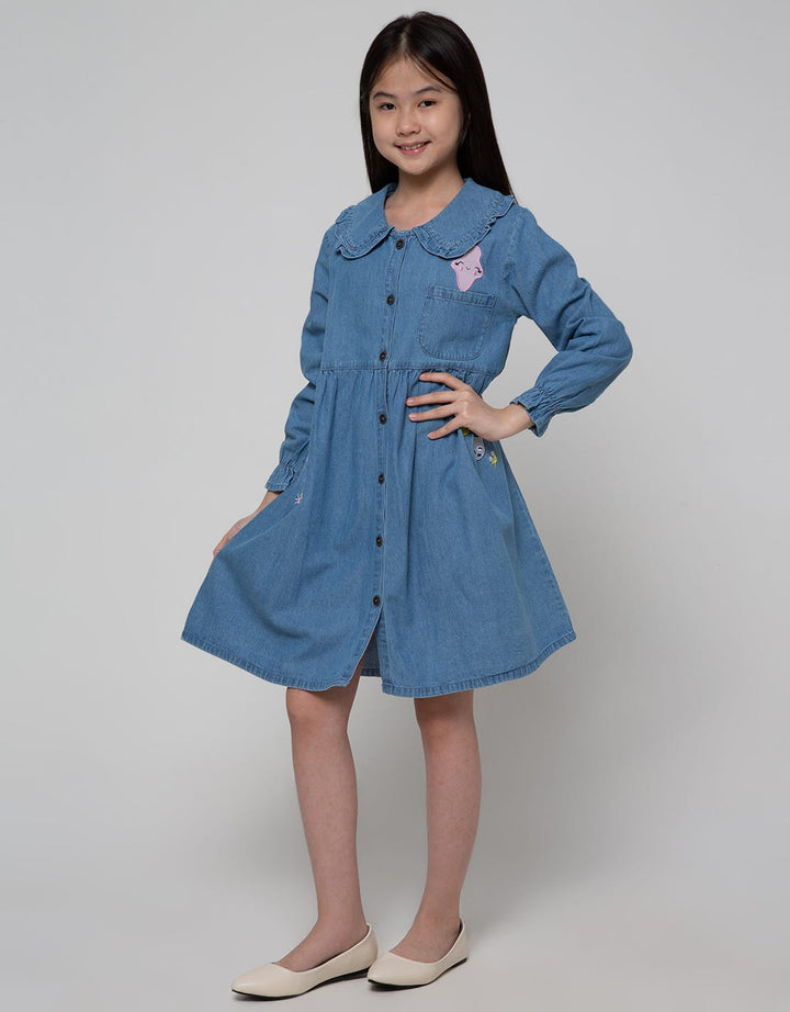 Aero Long Sleeve Denim Ruffle Dress