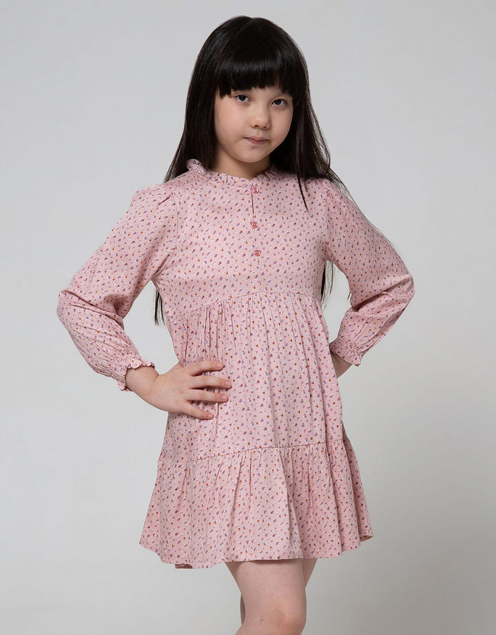 Aero Long Sleeve Dress Ruffle Karet
