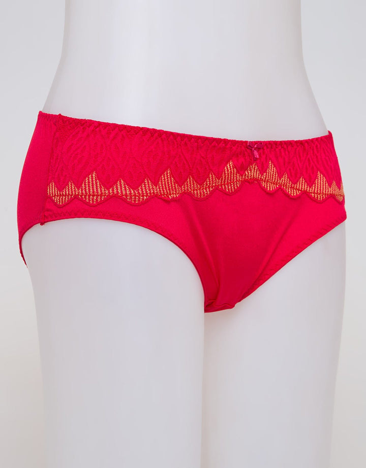 Tulip Women's Hi Leg Panties