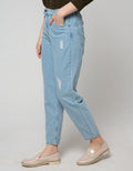 Nevada Denim Long Pants Mom Destroy 