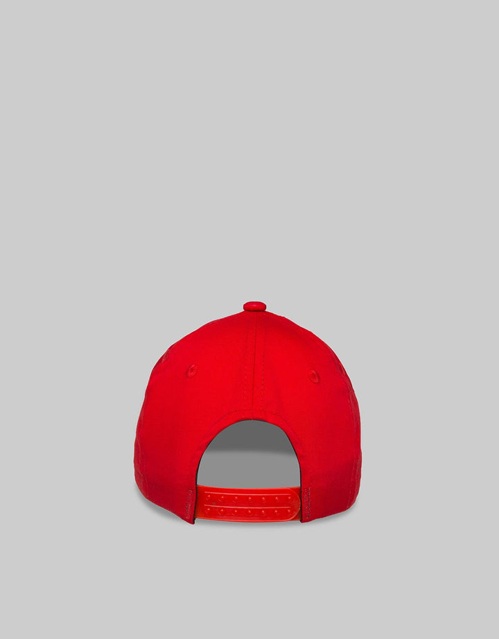 Marvel Caps Spiderman Print