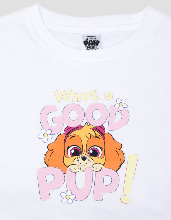 Character Paw Patrol Pakaian Setelan Bayi