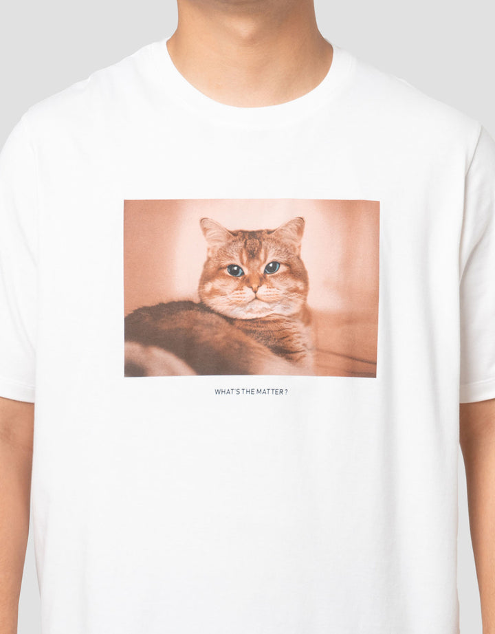 Aos Photoprint Theme Tbnd Cat Kaos Pria