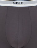 Cole 2Pk Rayon Elastic Wb Boss Stripe Crelana Boxer Pria