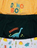 Little M Pack Of 3 Underwear Boys Dino Celana Dalam Anak Laki-laki