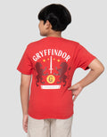 Character Hp Gryffindor Kaos Oversize Anak Laki-Laki
