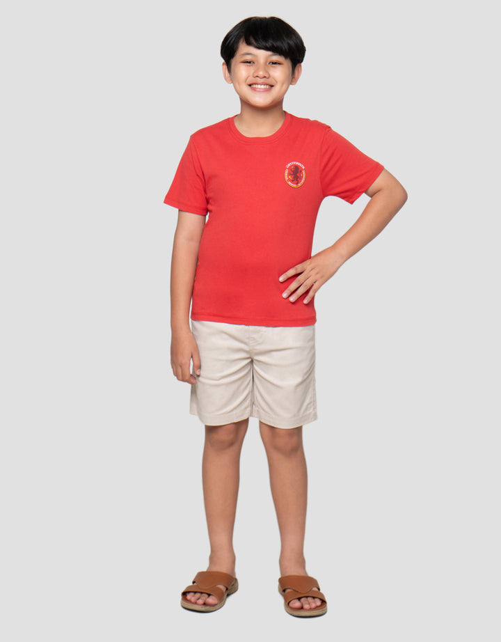 Character Hp Gryffindor Kaos Oversize Anak Laki-Laki