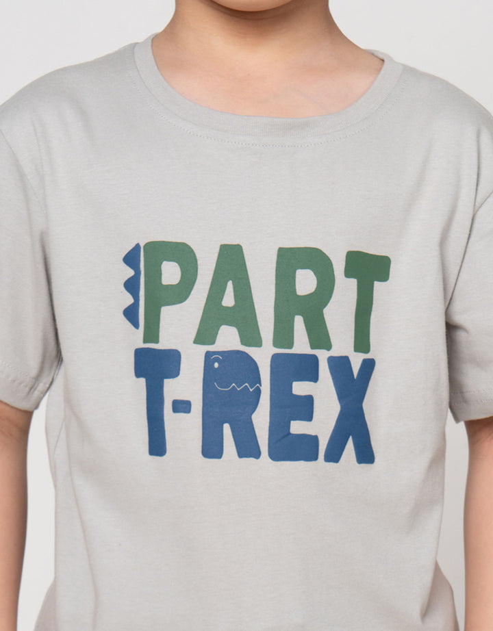 Little M Part Trex Print Kaos Anak Laki-laki