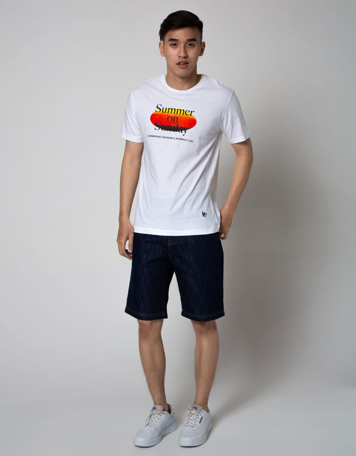 Freeride T-Shirt Pria Print Summer On Sunday