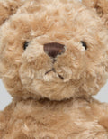 Little M Bear Ghuly Mogul 13 Inch
