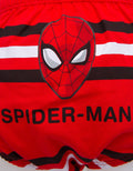 Marvel Cd Spiderman