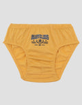 Little M Pack Of 3 Underwear Boys Champion Celana Dalam Anak Laki-Laki