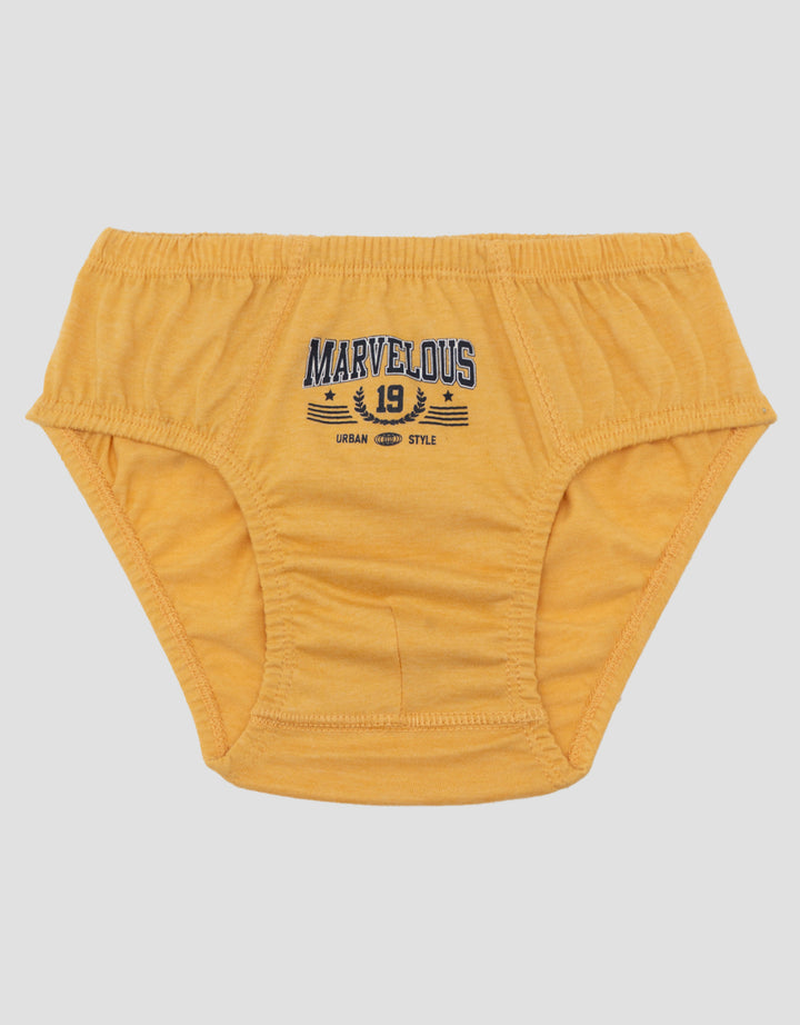 Little M Pack Of 3 Underwear Boys Champion Celana Dalam Anak Laki-Laki