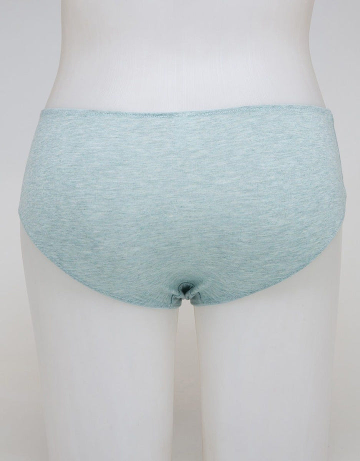 Nevada Midi Briefs Panty Misty