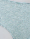 Nevada Midi Briefs Panty Misty