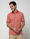 Cole Stripe Fider Regular Polo Shirt