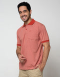 Cole Stripe Fider Regular Polo Shirt