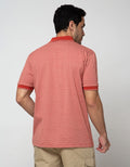 Cole Stripe Fider Regular Polo Shirt