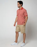 Cole Stripe Fider Regular Polo Shirt