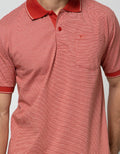 Cole Stripe Fider Regular Polo Shirt