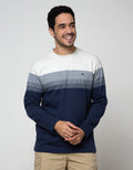 Cole Stripe Solid Bottom Sweater