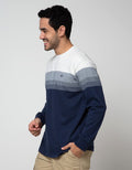 Cole Stripe Solid Bottom Sweater