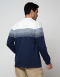 Cole Stripe Solid Bottom Sweater
