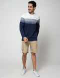 Cole Stripe Solid Bottom Sweater