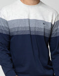 Cole Stripe Solid Bottom Sweater
