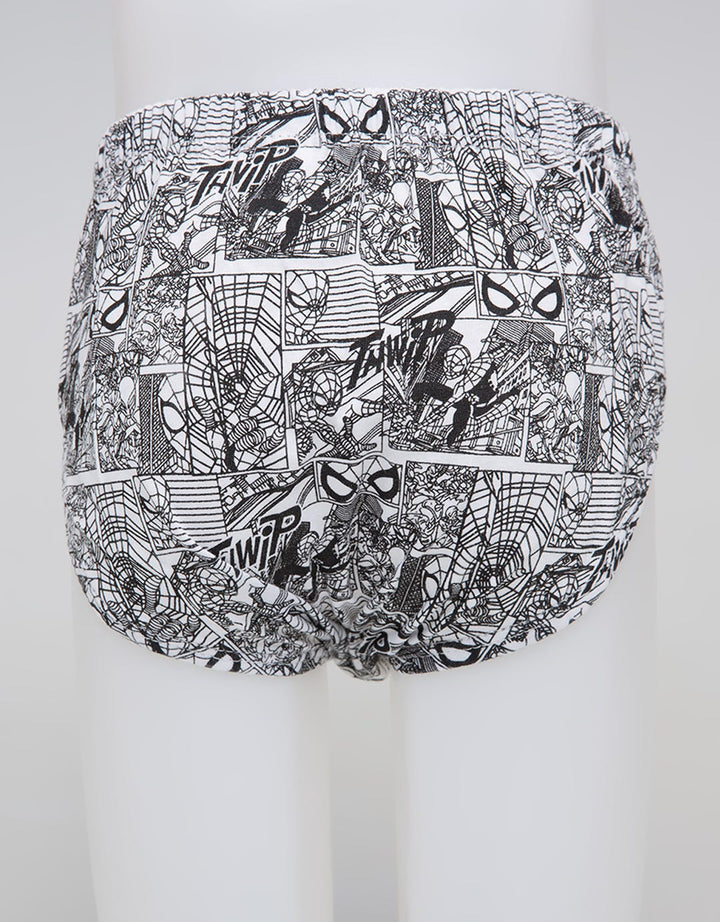 Marvel Cd Spiderman Print