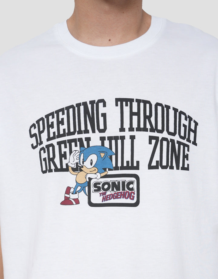 AOS THE BOY NEXT DOOR SEGA SONIC HILL ZONE KAOS PRIA