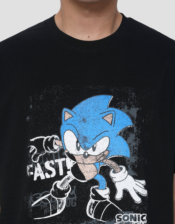 AOS THE BOY NEXT DOOR SEGA SONIC FAST KAOS PRIA