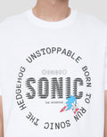 AOS THE BOY NEXT DOOR SEGA SONIC RUN KAOS PRIA