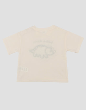LITTLE M DINO APPLIQUE KAOS BAYI
