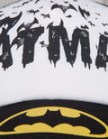 Character Batman Topi Jaring