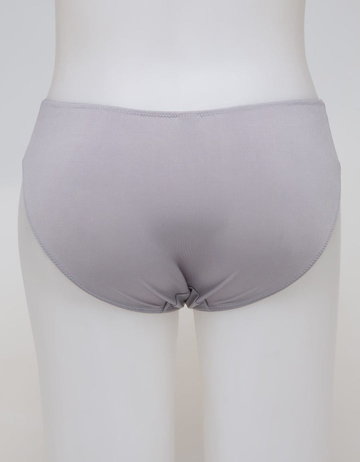 St. Yves Midi Briefs Lace Silver