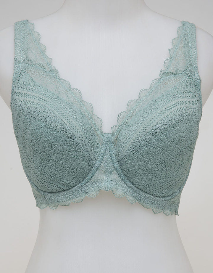 Pierre Cardin Bra Full