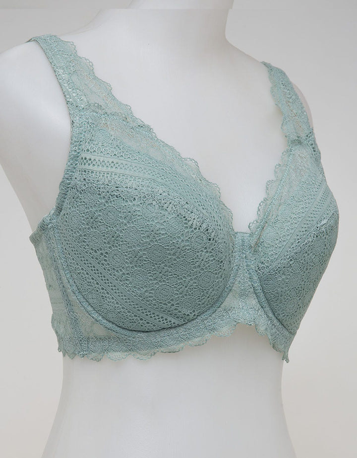 Pierre Cardin Bra Full
