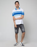 Walrus Kaos Polo Salur Stripe Pria