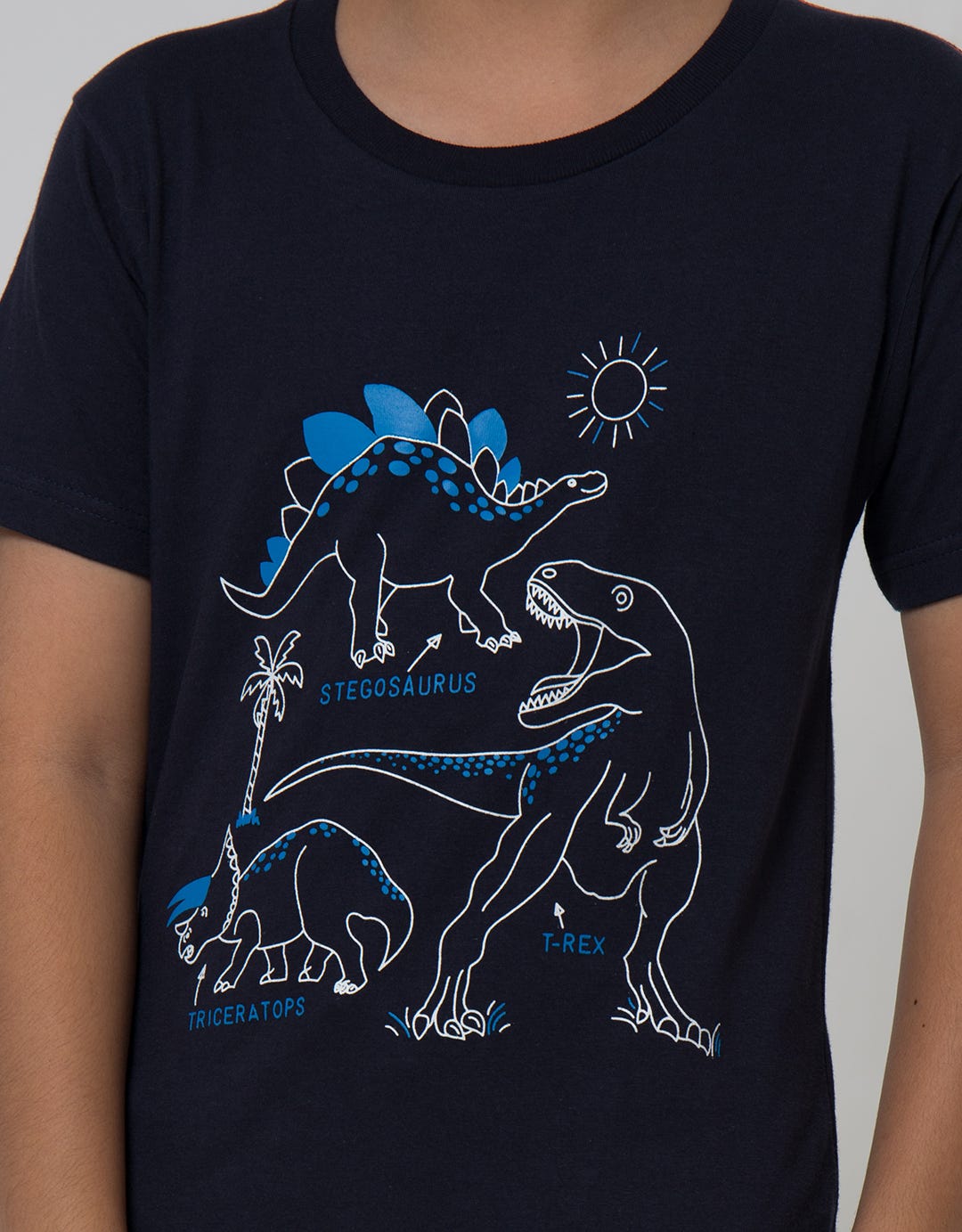 Little M Short Sleeve T-Shirt Dino