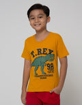 Little M Short Sleeve Dino T-Shirt