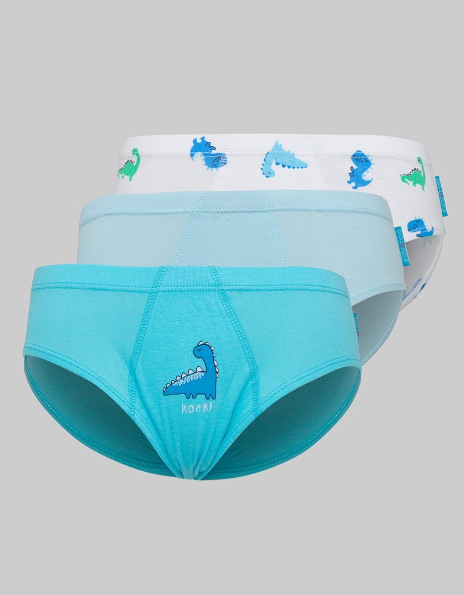 Kidz Too Brief Pack 3 Underwear Boys Dinosaurus Roar