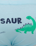 Kidz Too Brief Pack 3 Underwear Boys Dinosaur Roar