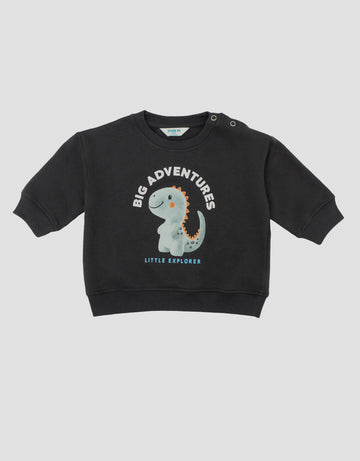LITTLE M DINO SWEATER BAYI