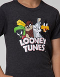 Character Kaos Looney Toons Marvin N Friends