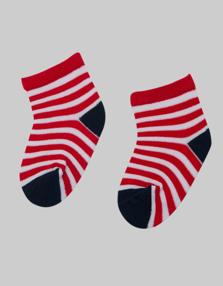 Pipiniko Socks Stripe