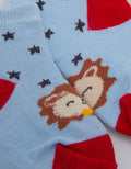 Pipiniko Lion Star Kaus Kaki Anak