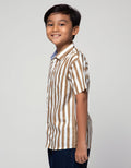 Nevada Short Sleeve Shirt Cotton Tancel Stripe