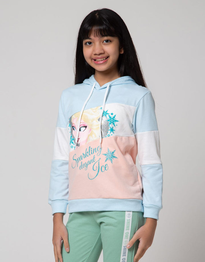 Disney Frozen Sweatshirt Hoodie