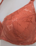 Sorella Bra Graceful Lace